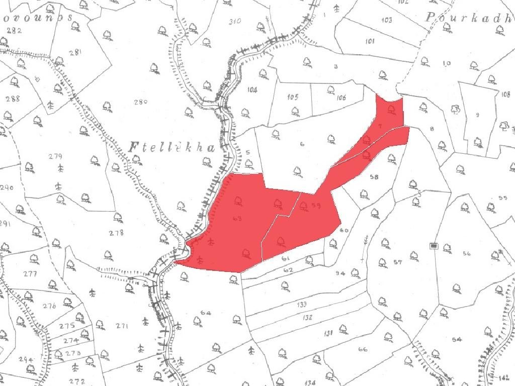 Field - Dora, Limassol
