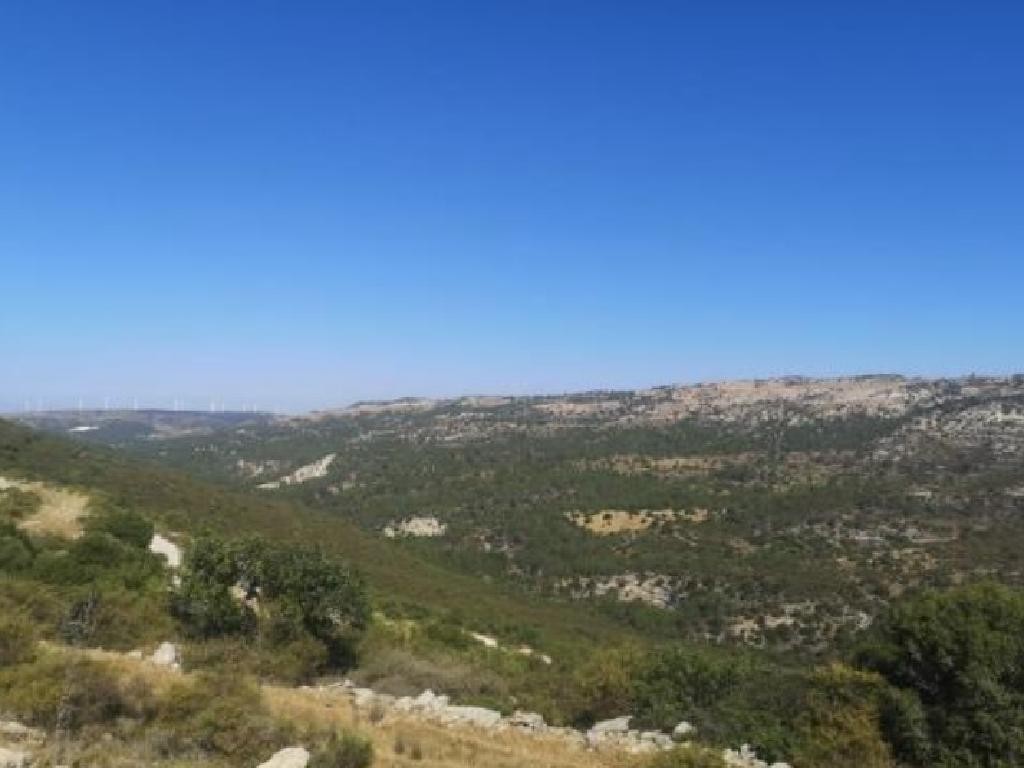 Dora, Limassol Agricultural Field For Sale | WW28387