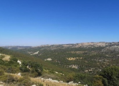 Dora, Limassol Agricultural Field For Sale | WW28387