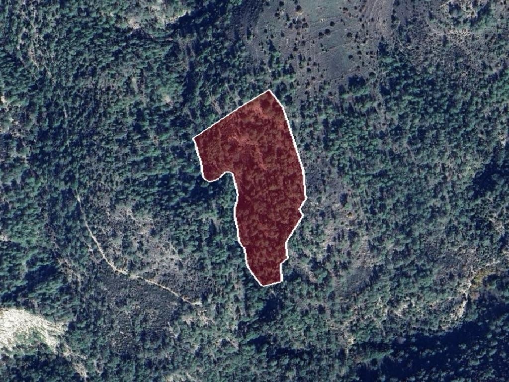 Field - Dora, Limassol
