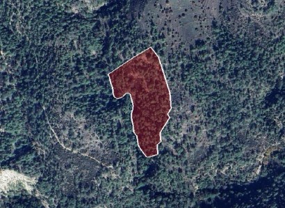 Dora, Limassol Agricultural Field For Sale | WW28387