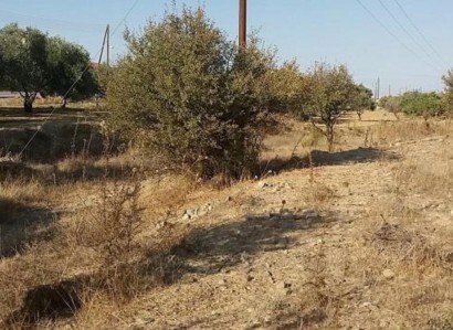 Pera Chorio, Nicosia Residential Field For Sale | WW28398