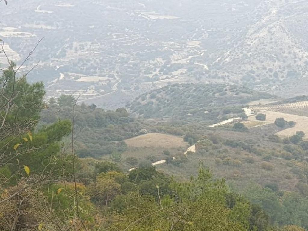 Dora, Limassol Agricultural Field For Sale | WW28409