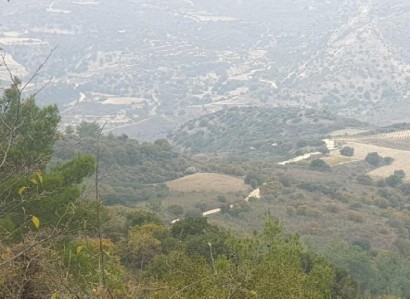 Dora, Limassol Agricultural Field For Sale | WW28409