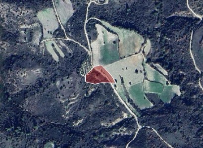 Dora, Limassol Agricultural Field For Sale | WW28409