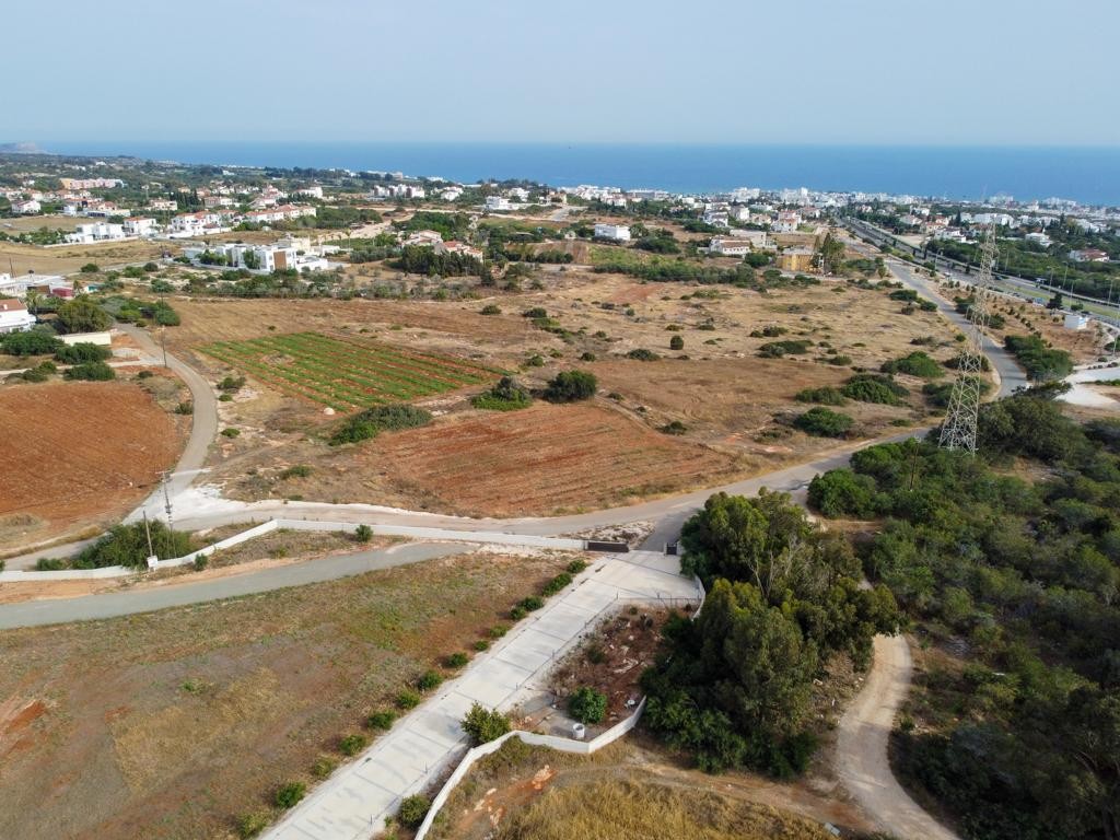 Field - Ayia Napa, Famagusta