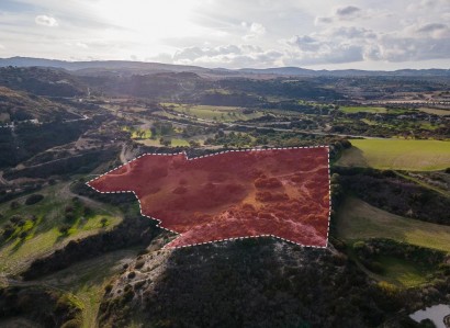 Drouseia, Paphos Agricultural Field For Sale | WW28457