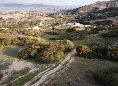 Drouseia, Paphos Agricultural Field For Sale | WW28457