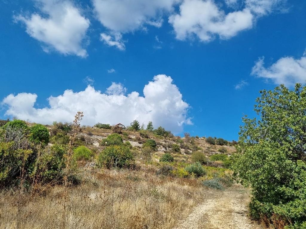 Koilani, Limassol Residential Field For Sale | WW28479