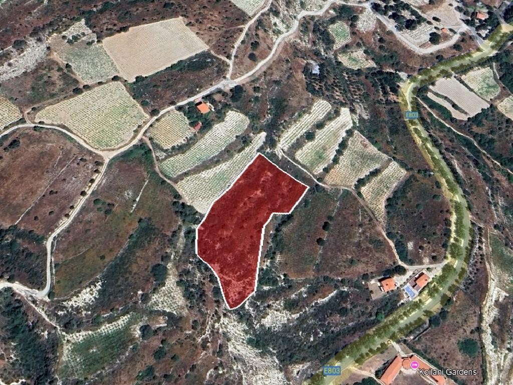 Field - Koilani, Limassol