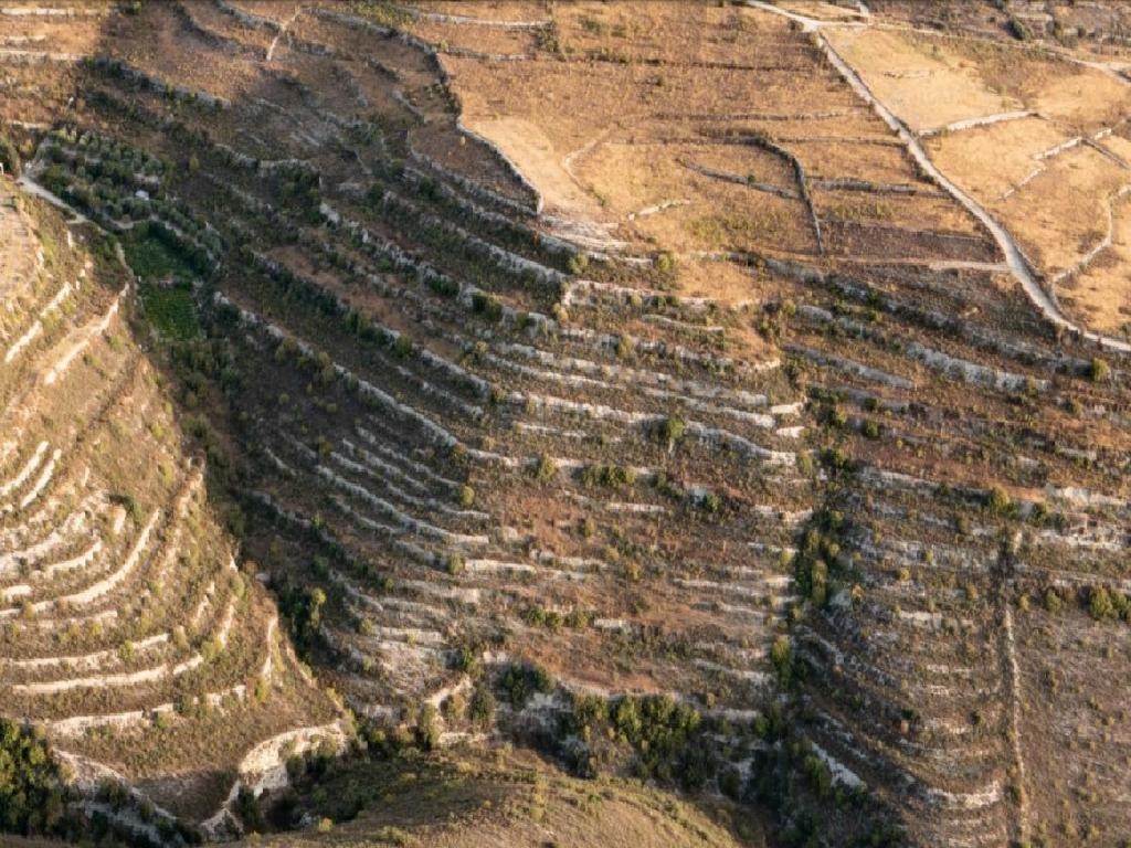 Vouni, Limassol Agricultural Field For Sale | WW28480