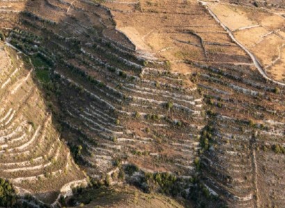 Vouni, Limassol Agricultural Field For Sale | WW28480