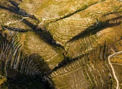 Vouni, Limassol Agricultural Field For Sale | WW28480