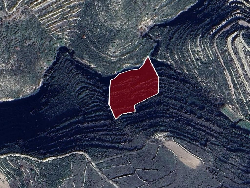 Field - Vouni, Limassol