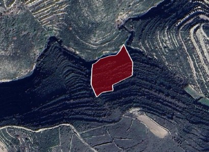 Vouni, Limassol Agricultural Field For Sale | WW28480