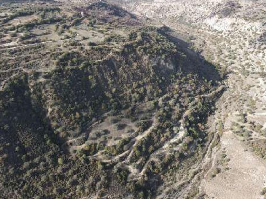 Choulou, Paphos Agricultural Field For Sale | WW28487