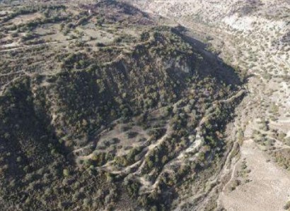 Choulou, Paphos Agricultural Field For Sale | WW28487