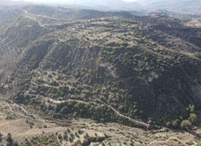 Choulou, Paphos Agricultural Field For Sale | WW28487