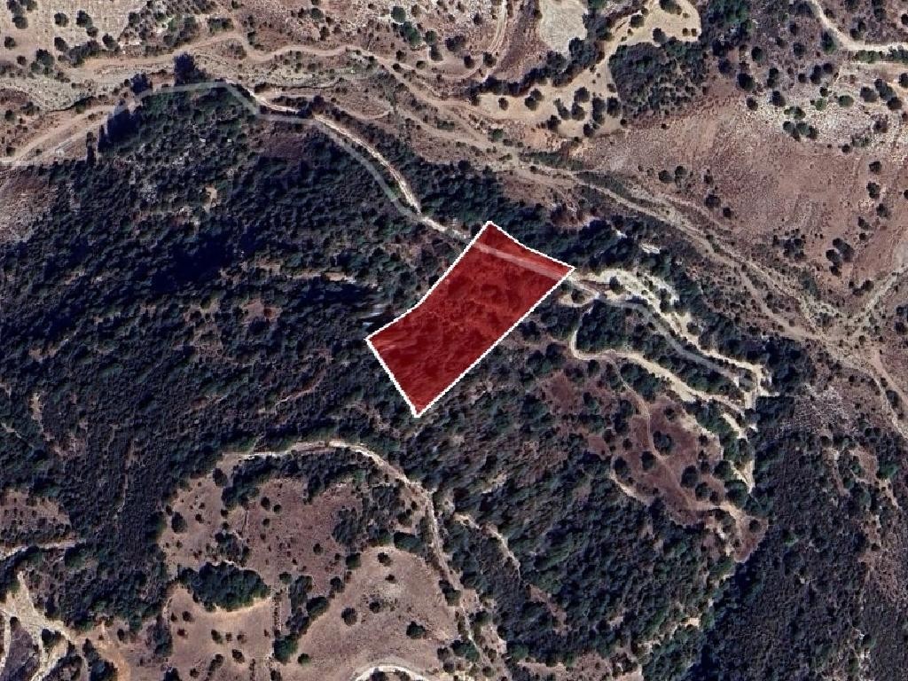 Field - Choulou, Paphos