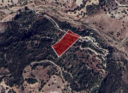 Choulou, Paphos Agricultural Field For Sale | WW28487