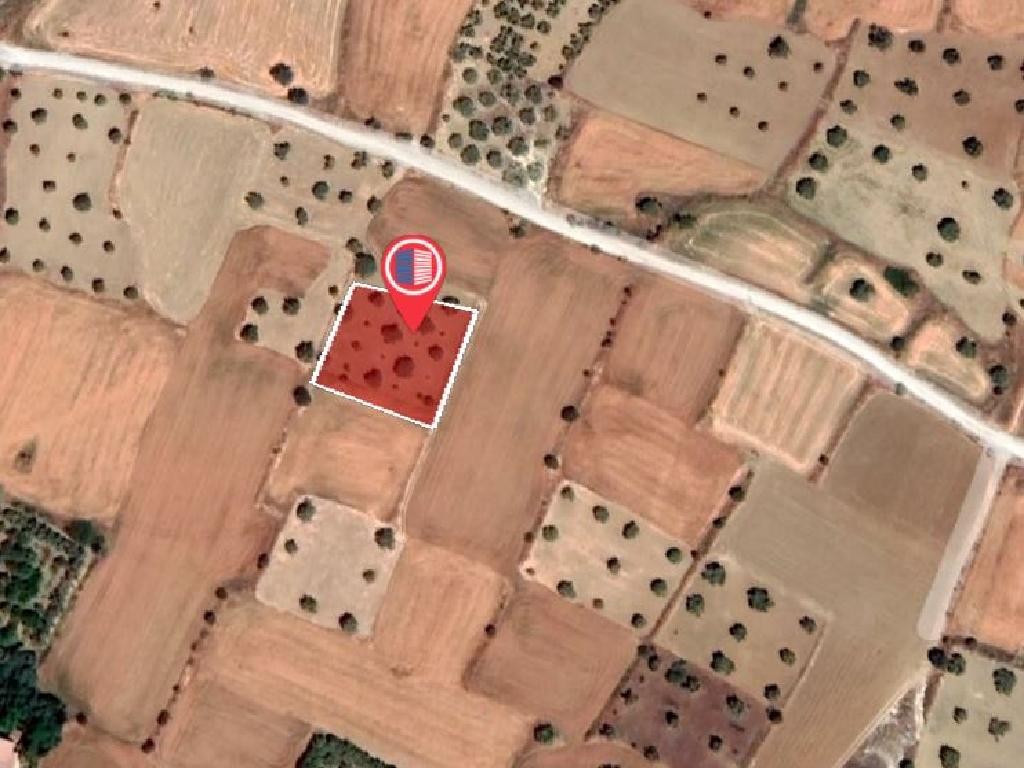 Field - Pera (Oreinis), Nicosia