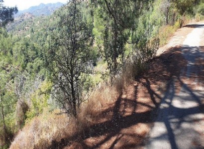 Palaiomylos, Limassol Agricultural Field For Sale | WW28526