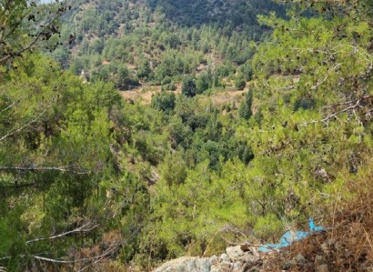 Palaiomylos, Limassol Agricultural Field For Sale | WW28526