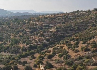 Apesia, Limassol Agricultural Field For Sale | WW28532