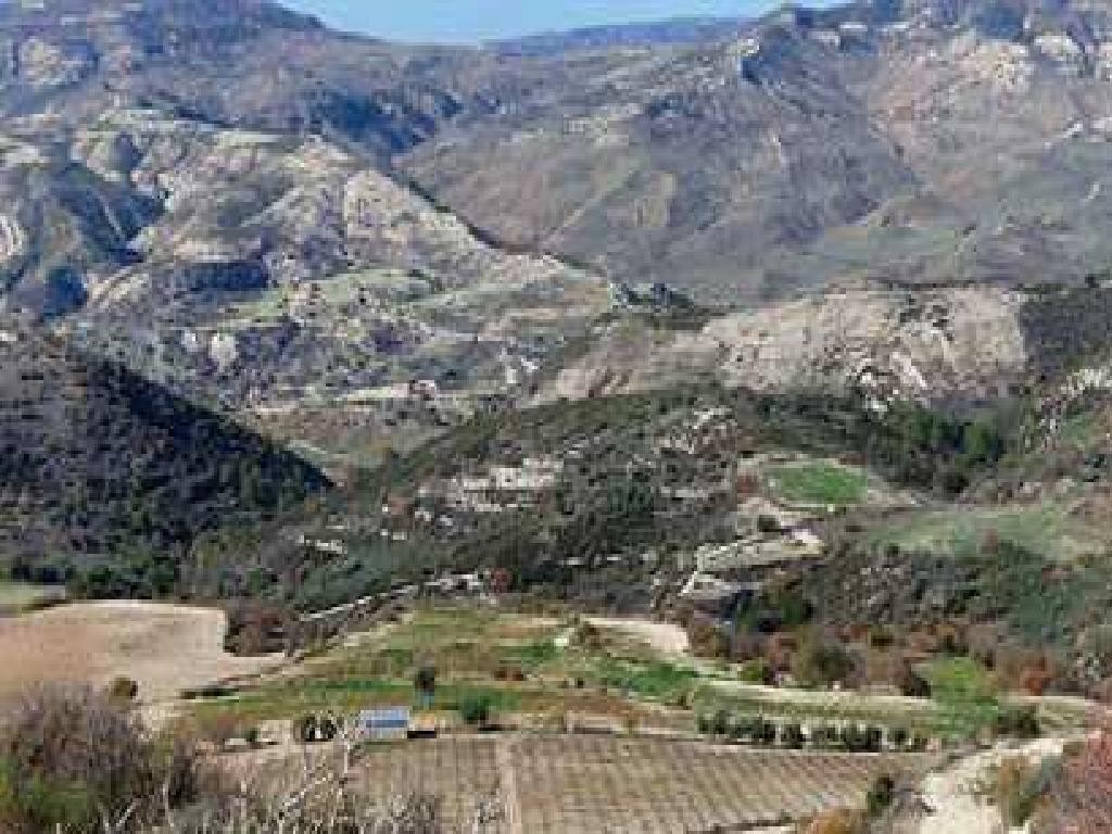 Dora, Limassol Agricultural Field For Sale | WW28548
