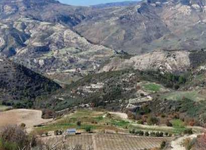 Dora, Limassol Agricultural Field For Sale | WW28548
