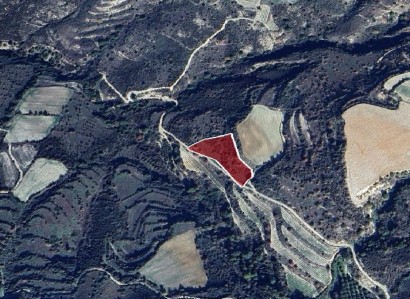 Dora, Limassol Agricultural Field For Sale | WW28548