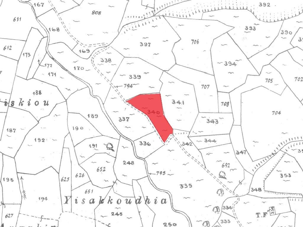 Field - Dora, Limassol