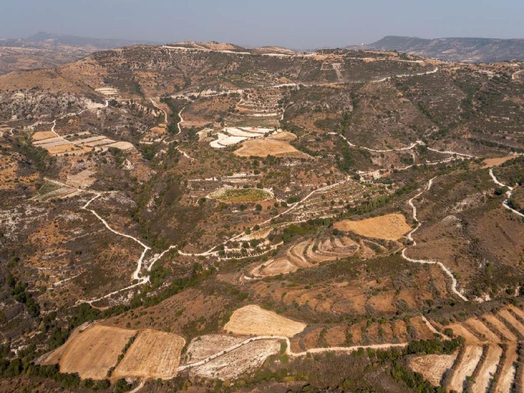 Dora, Limassol Agricultural Field For Sale | WW28549