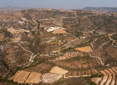 Dora, Limassol Agricultural Field For Sale | WW28549