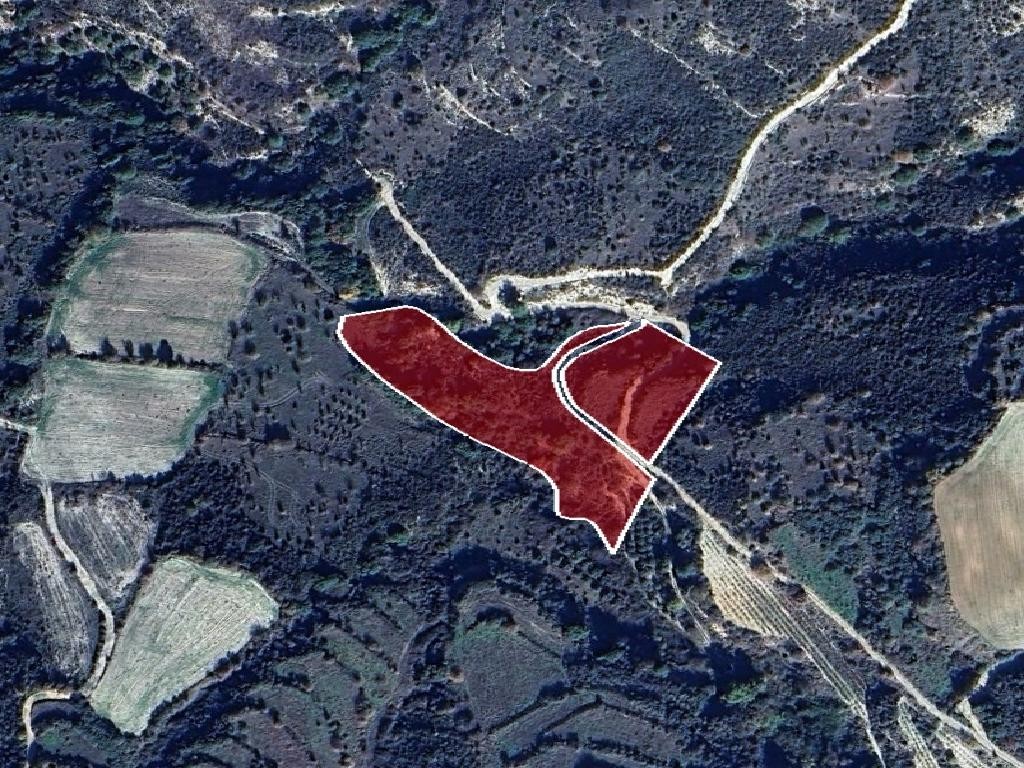 Fields - Dora, Limassol