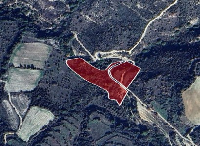 Dora, Limassol Agricultural Field For Sale | WW28549
