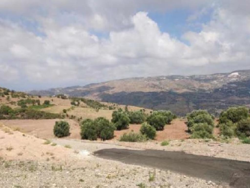 Episkopi, Paphos Agricultural Field For Sale | WW28554