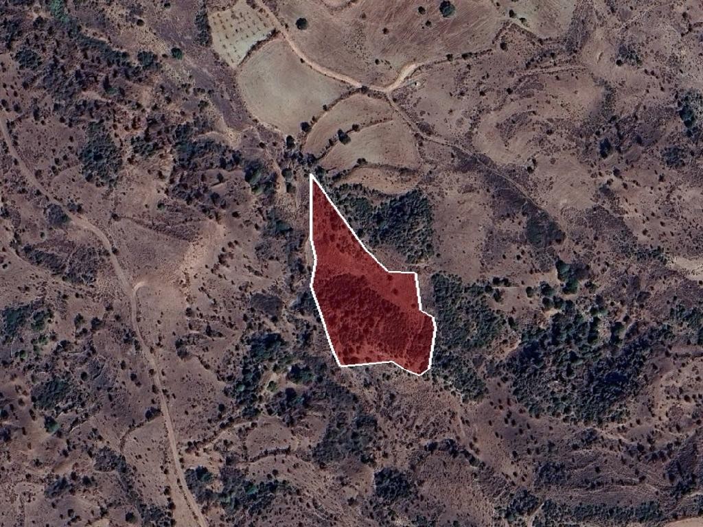 Field - Episkopi, Paphos