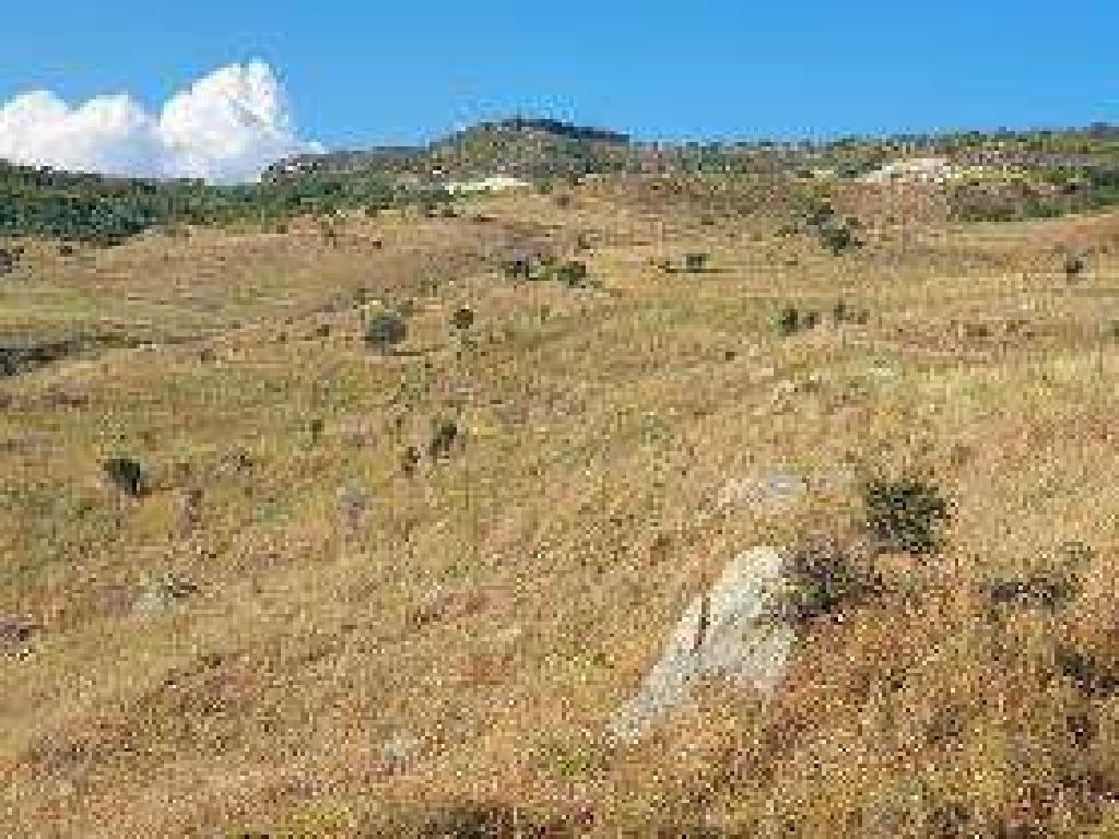 Pentalia, Paphos Agricultural Field For Sale | WW28563