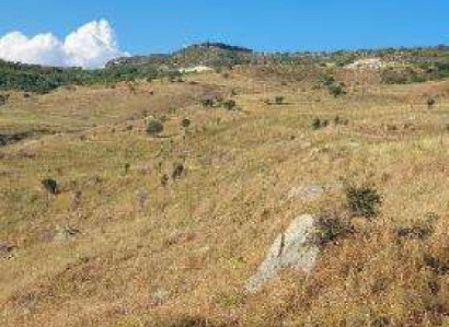 Pentalia, Paphos Agricultural Field For Sale | WW28563