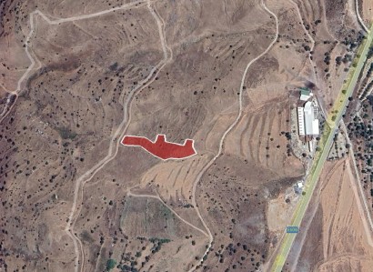 Pentalia, Paphos Agricultural Field For Sale | WW28563