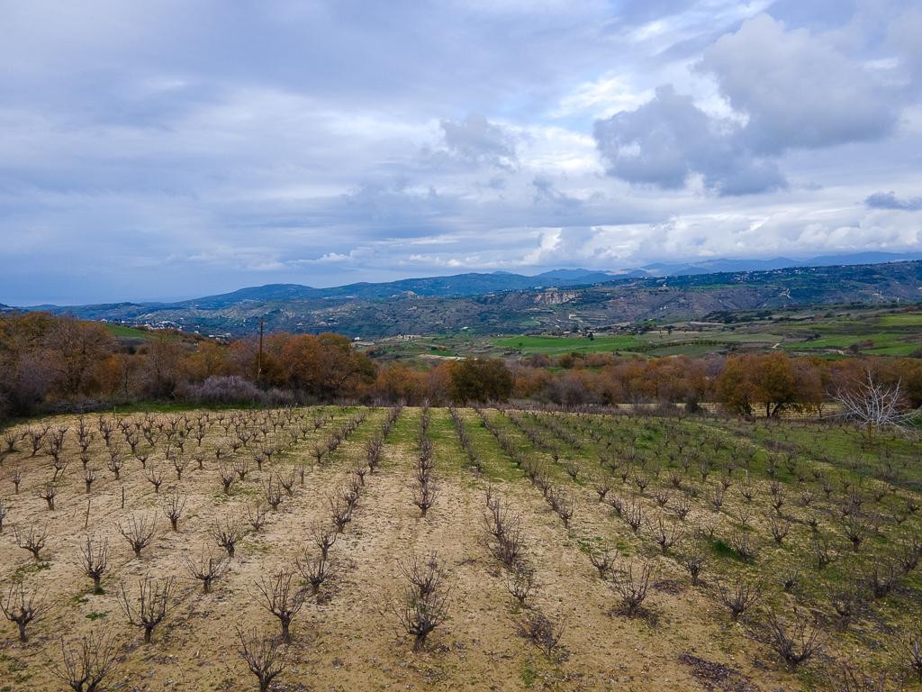 Field - Stroumpi, Paphos
