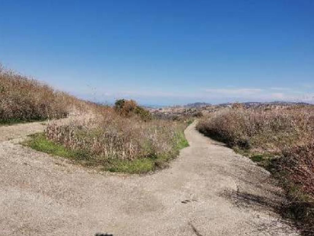 Stroumbi, Paphos Agricultural Field For Sale | WW28565