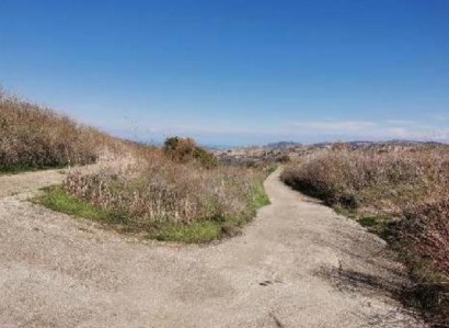 Stroumbi, Paphos Agricultural Field For Sale | WW28565