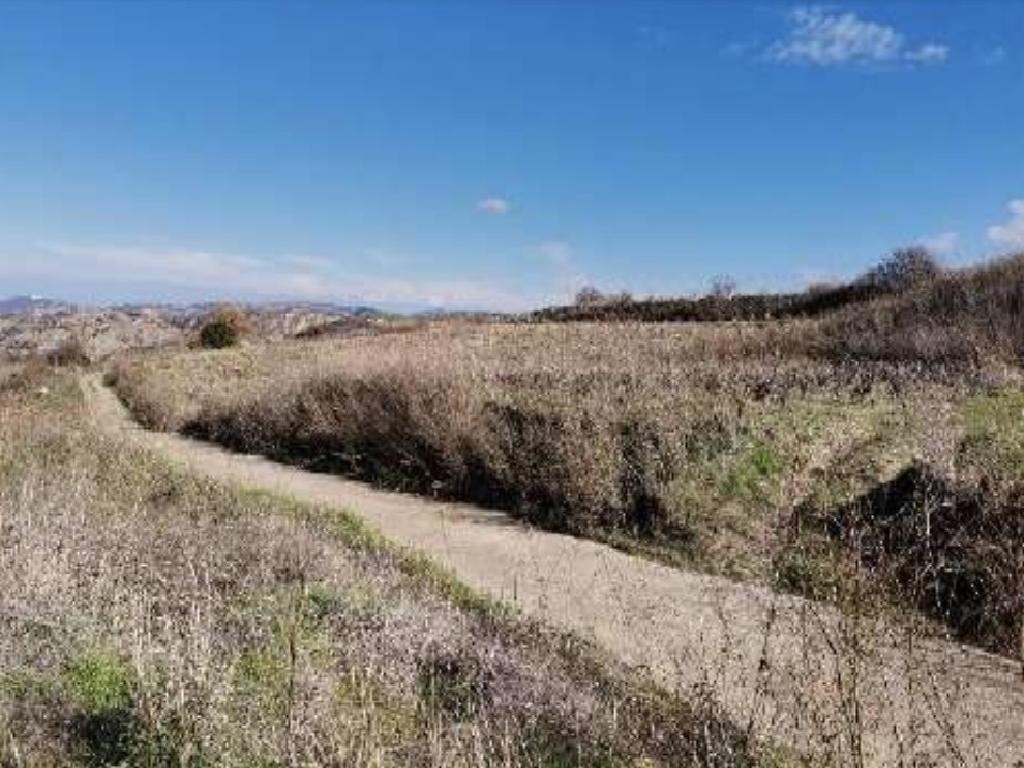 Field - Stroumbi, Paphos