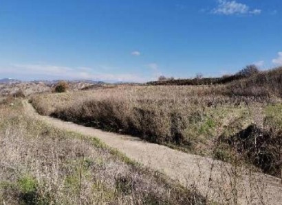 Stroumbi, Paphos Agricultural Field For Sale | WW28565