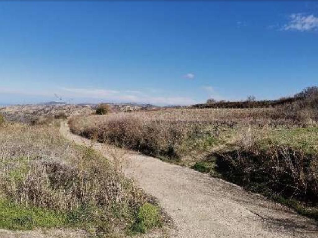Field - Stroumbi, Paphos