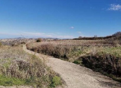 Stroumbi, Paphos Agricultural Field For Sale | WW28565