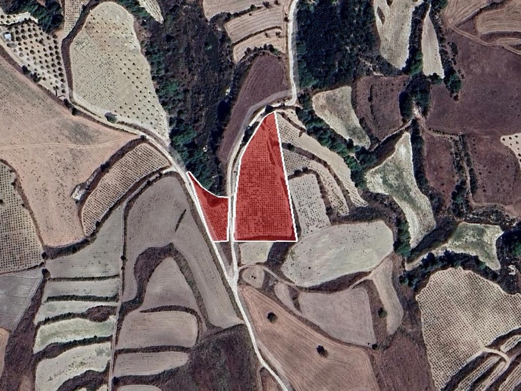 Field - Stroumbi, Paphos