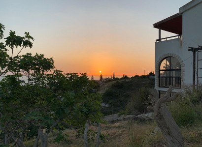 Tala, Paphos Detached Villa For Sale | WW28573